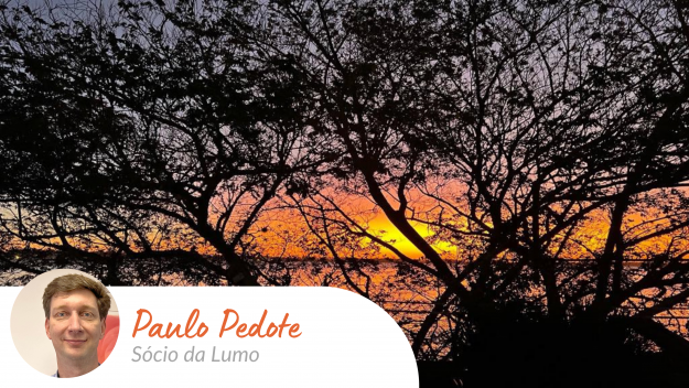 artigo_lumo_paulo_pedote_pausa_paraagir