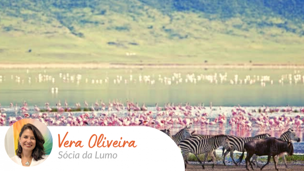 artigo_vera_oliveira_lumo_licoes_africanas